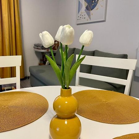 Apartament Mara Băile Felix Exteriér fotografie