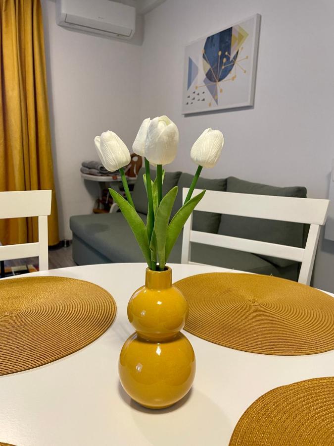 Apartament Mara Băile Felix Exteriér fotografie